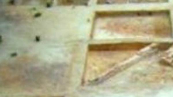 தொல்லியல் துறை ஆய்வு