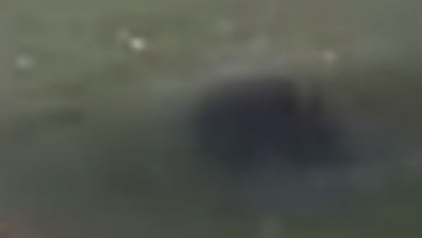 சவால் விபரீதம்