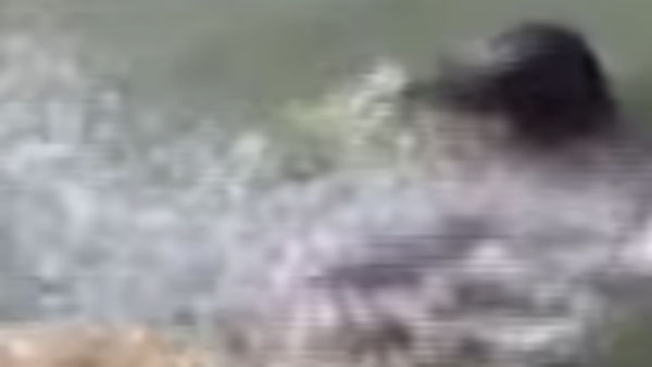 பெண்கள் துவைக்கிறார்கள்