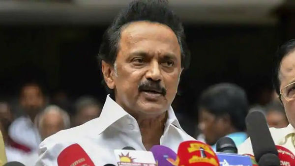 DMK will face Local body elections, says MK Stalin DMK will face Local body elections, says MK Stalin