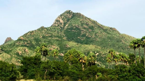 நோய் எதிரி தொல்லை நீங்கும்
