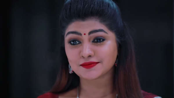 அறையில் பாம்