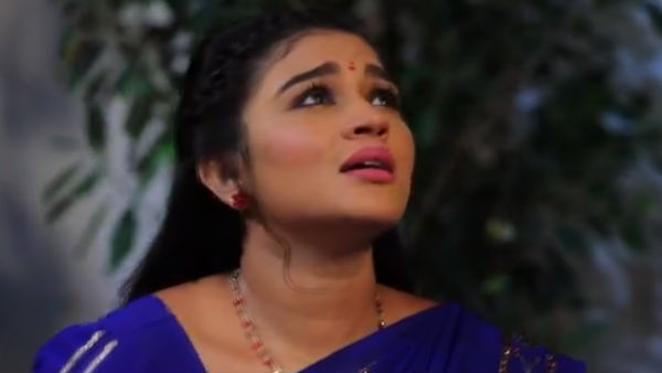 செம்பருத்தி சீரியல்