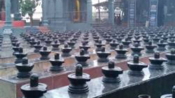 Aippasi Pournami Annabisekam at Sri Danvantri Arogya Peedam Walajapet Aippasi Pournami Annabisekam at Sri Danvantri Arogya Peedam Walajapet