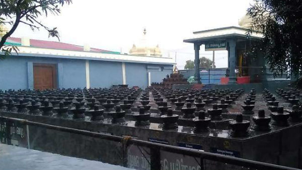 Aippasi Pournami Annabisekam at Sri Danvantri Arogya Peedam Walajapet Aippasi Pournami Annabisekam at Sri Danvantri Arogya Peedam Walajapet