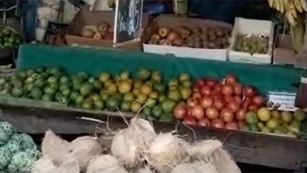 எழுமிச்சை விலை