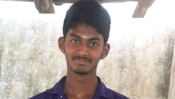 புதர்கள்