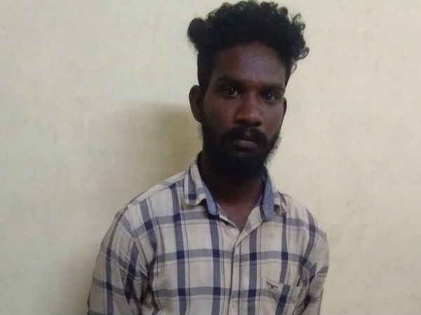 காட்டுப்பகுதி