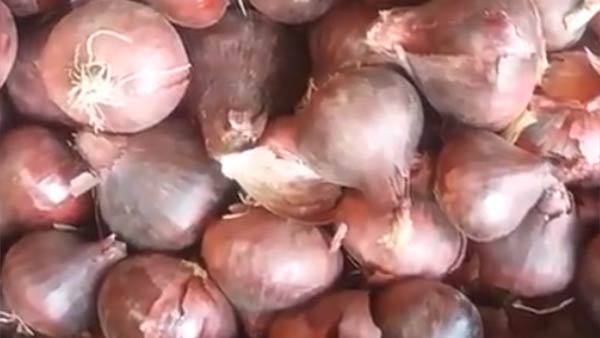 நூதன வியாபாரம்