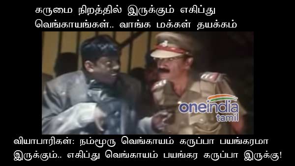 memes on egypt onion memes on egypt onion