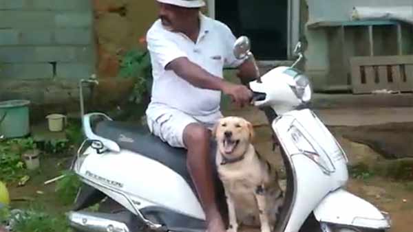 இப்போது இல்லை