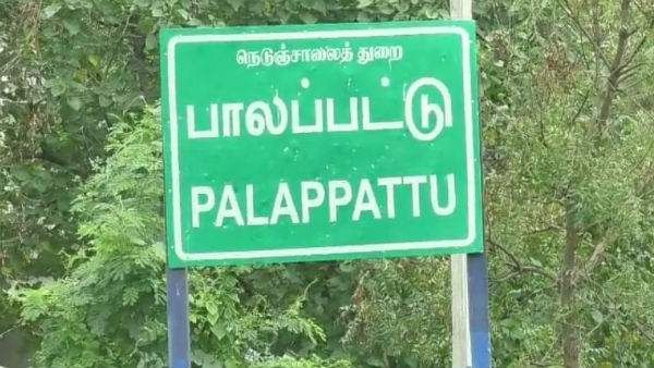 In Kallakurichi district Police arrested a farmer who cultivated cannabis in the garden In Kallakurichi district Police arrested a farmer who cultivated cannabis in the garden