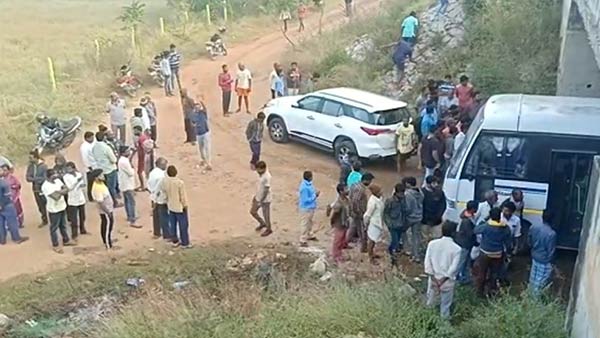 கையில் விலங்கு