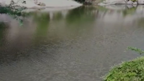 Sisters drown in Mookanur lake after they took bath Sisters drown in Mookanur lake after they took bath