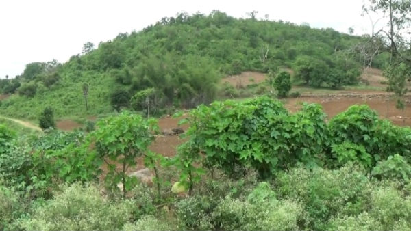 In Kalvarayan hills, a landlord stabbed to death a youth with a spear In Kalvarayan hills, a landlord stabbed to death a youth with a spear