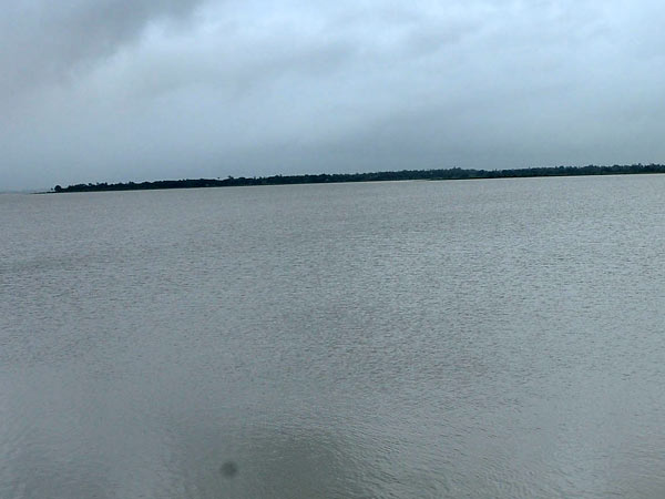 பாதிப்பு