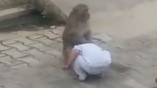 குழந்தை மீது பாசம்