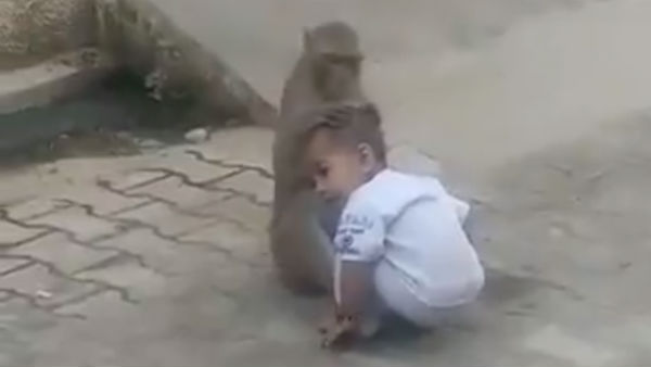 பயப்படவில்லை