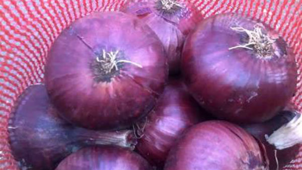 மொத்த மார்க்கெட்