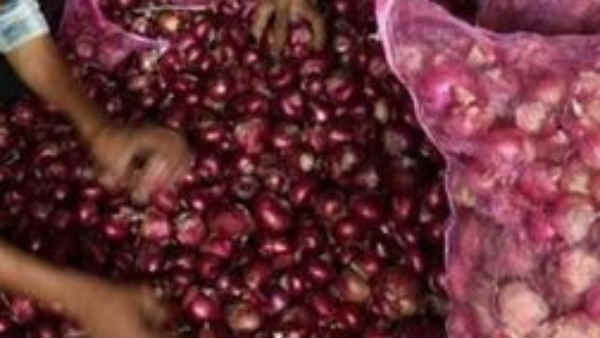 60டன் வெங்காயம்
