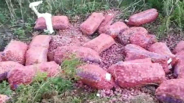 The 10 tonnes of onion brought to Chennai from Andhra Pradesh toppled on the road The 10 tonnes of onion brought to Chennai from Andhra Pradesh toppled on the road