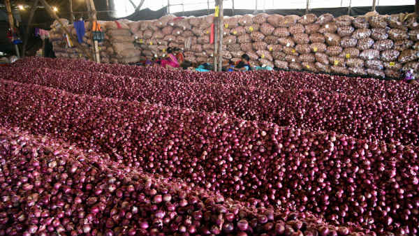 Imported Onion Ships coming next week Imported Onion Ships coming next week