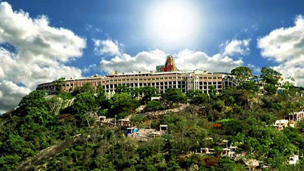Pazhani Mugugan Temple Kumbabishekam work started with Palalaya Pooja Pazhani Mugugan Temple Kumbabishekam work started with Palalaya Pooja