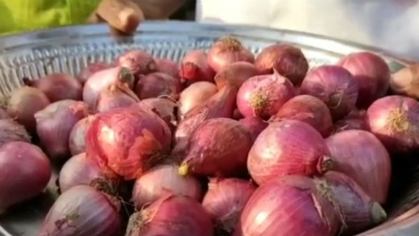Actor Rajinikanths birthday celebrated by his fans in Pudukkottai district Actor Rajinikanths birthday celebrated by his fans in Pudukkottai district