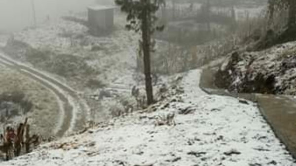 வீடியோ
