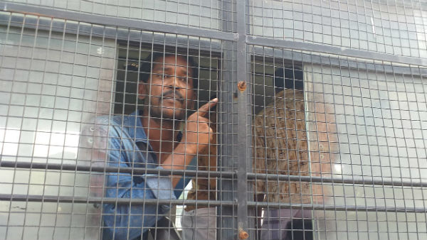 கைவிலங்கு