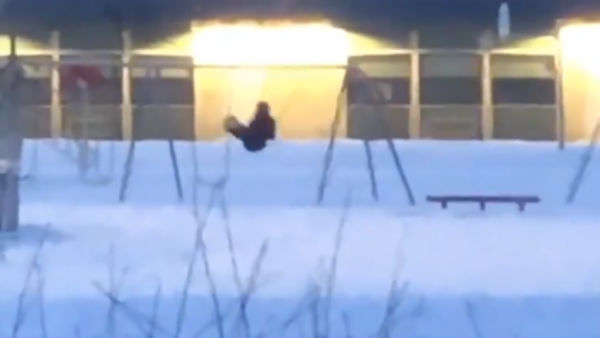 millions of people confused by a viral video millions of people confused by a viral video