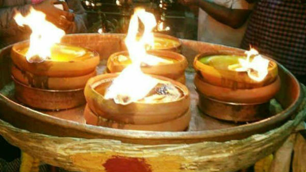 பேருந்து போக்குவரத்து
