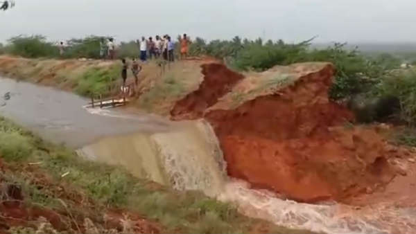 breach in 58 canal irks farmers in and around usilampatti breach in 58 canal irks farmers in and around usilampatti