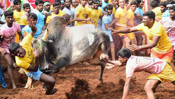 நீதிமன்றம் உத்தரவு
