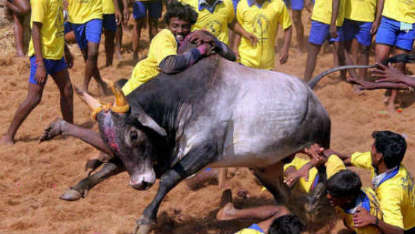 வழிகாட்டுதல்கள்