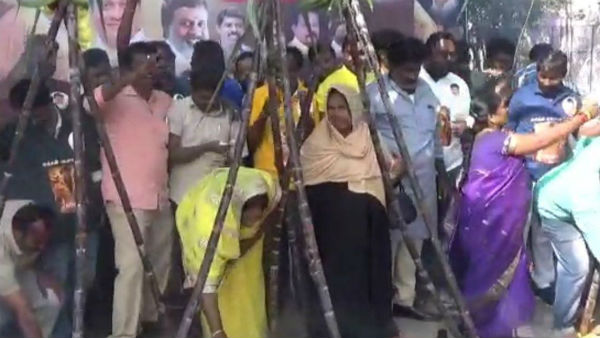 Rajini fans celebrations in hosur Rajini fans celebrations in hosur