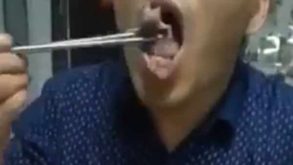 chinese man dips still wriggling baby mice in sauce before eating them alive chinese man dips still wriggling baby mice in sauce before eating them alive