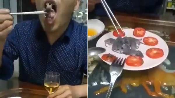 Chinese youth eats live rats in a restaurant Chinese youth eats live rats in a restaurant