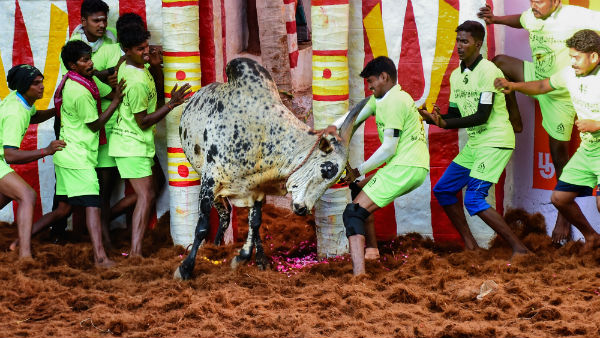 ரஞ்சித் குமார்