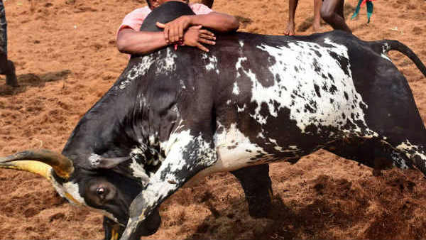 பாலமேடு குழு