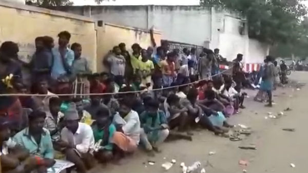 madurai jallikkattu : tocked provided for bulls that participate in avaniyapuram, palamedu and alanganallur jallikkattu madurai jallikkattu : tocked provided for bulls that participate in avaniyapuram, palamedu and alanganallur jallikkattu
