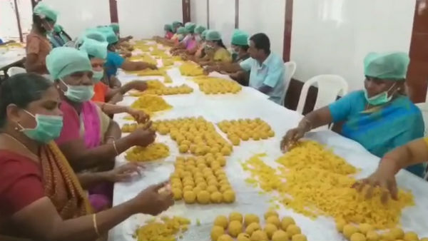 Vaikunta Ekadasi: 1 Lakh and 8 thousand Laddoos making work is going on in Tirupur Vaikunta Ekadasi: 1 Lakh and 8 thousand Laddoos making work is going on in Tirupur