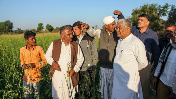 Pakistan’s locust attack crops in North Gujarat Pakistan’s locust attack crops in North Gujarat