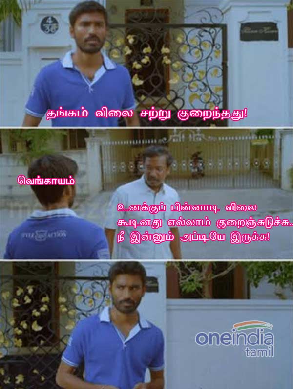 memes-on-onion-and-rain memes-on-onion-and-rain