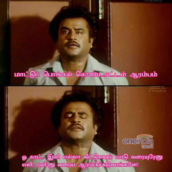 memes-on-pongal memes-on-pongal