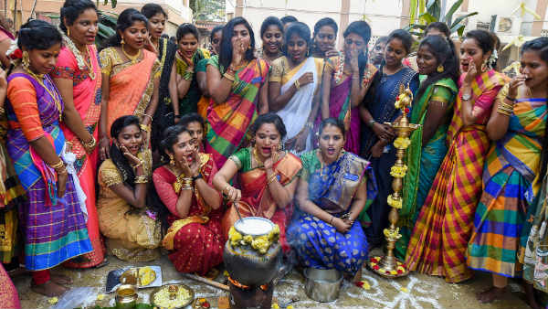 Pongal: People in Tamilnadu celebrates their farmer festival Pongal: People in Tamilnadu celebrates their farmer festival