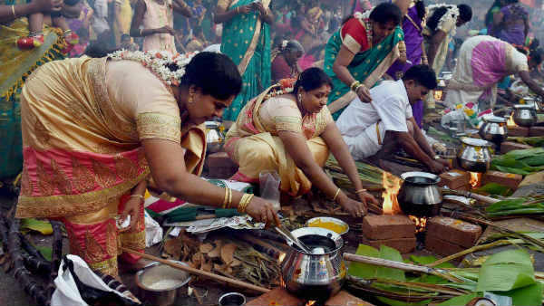 காணும் பொங்கல்