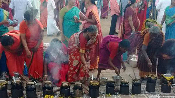 Sevvai Pongal the traditional Pongal festival in Nattarasankottai Sevvai Pongal the traditional Pongal festival in Nattarasankottai