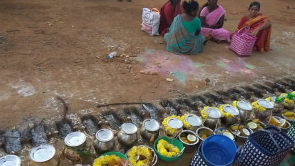 Sevvai Pongal the traditional Pongal festival in Nattarasankottai Sevvai Pongal the traditional Pongal festival in Nattarasankottai
