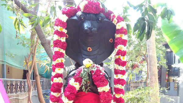 ராகு கேது